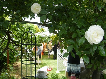 Open Rose Gardens 2010 （つくば）