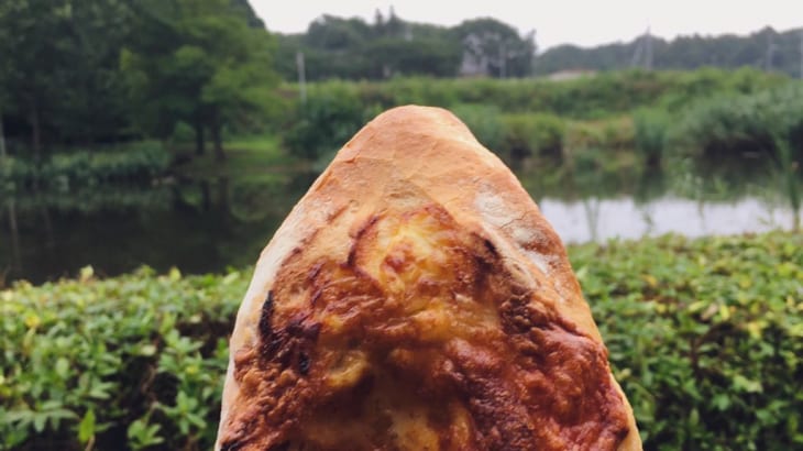 水鳥見ながらパン•デ・カーザさんのパンいただきまーす。水海道